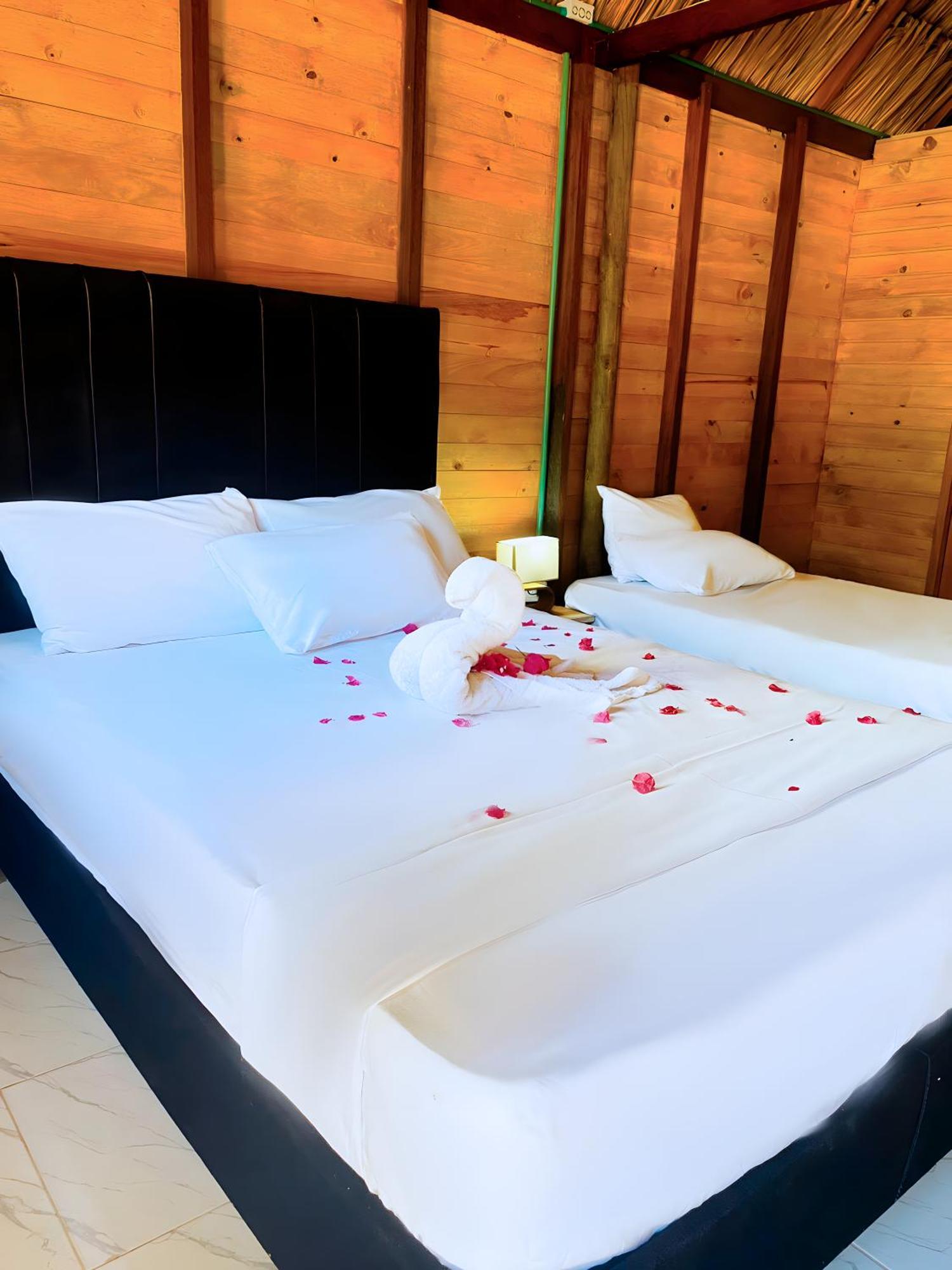 Palma Plata Islas Del Rosario Исла Гранде Екстериор снимка